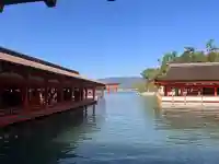 厳島神社の{uncategorized: "未分類", other: "その他", undefined: "問題あり", building: "その他建物", grave: "お墓", sacred_gate: "鳥居", guardian: "狛犬", statue: "像", buddha: "仏像", history: "歴史", nature: "自然", garden: "庭園", animal: "動物", pagoda: "塔", temizu: "手水舎", mountain_gate: "山門・神門", sanctuary: "本殿・本堂", subordinate: "末社・摂社", art: "芸術", scenery: "景色", jizo: "地蔵", ema: "絵馬", goshuin: "御朱印", omikuji: "おみくじ", items: "授与品その他", amulet: "お守り", goshuincho: "御朱印帳", eats: "食事", festival: "お祭り", votive_dance: "神楽", shichigosan: "七五三参", wedding: "結婚式", experience: "体験その他", initially: "初詣", around: "周辺", anti_infection: "感染症対策"}