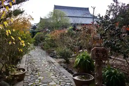 天真院の庭園