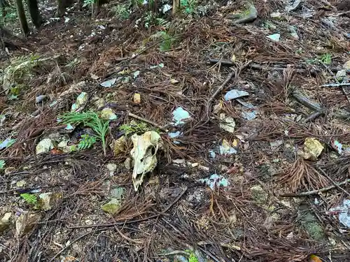 大水別神社(鉛練比古神社奥宮)(滋賀県)