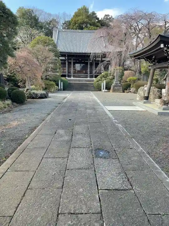 青柳寺の{uncategorized: "未分類", other: "その他", undefined: "問題あり", building: "その他建物", grave: "お墓", sacred_gate: "鳥居", guardian: "狛犬", statue: "像", buddha: "仏像", history: "歴史", nature: "自然", garden: "庭園", animal: "動物", pagoda: "塔", temizu: "手水舎", mountain_gate: "山門・神門", sanctuary: "本殿・本堂", subordinate: "末社・摂社", art: "芸術", scenery: "景色", jizo: "地蔵", ema: "絵馬", goshuin: "御朱印", omikuji: "おみくじ", items: "授与品その他", amulet: "お守り", goshuincho: "御朱印帳", eats: "食事", festival: "お祭り", votive_dance: "神楽", shichigosan: "七五三参", wedding: "結婚式", experience: "体験その他", initially: "初詣", around: "周辺", anti_infection: "感染症対策"}