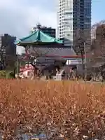 寛永寺不忍池弁天堂(東京都)