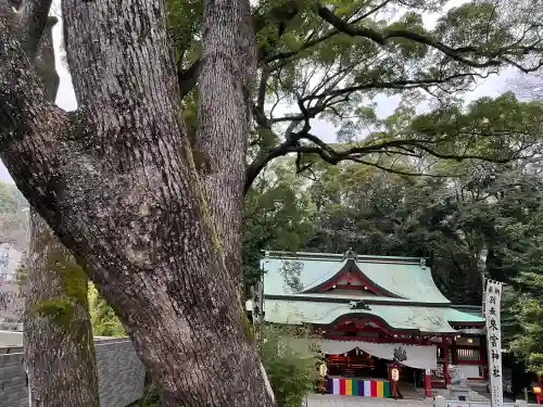 來宮神社(静岡県)
