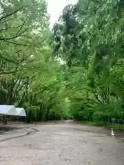 賀茂御祖神社（下鴨神社）の建物その他