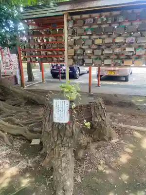 大宮・大原神社(千葉県)