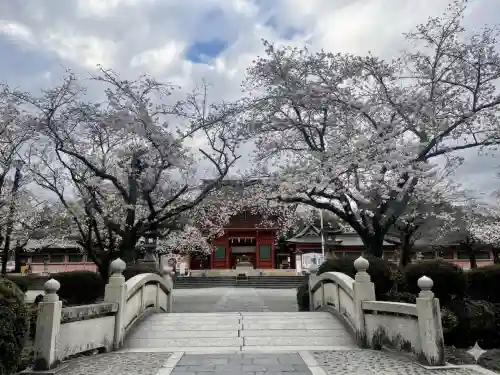富士山本宮浅間大社の{uncategorized: "未分類", other: "その他", undefined: "問題あり", building: "その他建物", grave: "お墓", sacred_gate: "鳥居", guardian: "狛犬", statue: "像", buddha: "仏像", history: "歴史", nature: "自然", garden: "庭園", animal: "動物", pagoda: "塔", temizu: "手水舎", mountain_gate: "山門・神門", sanctuary: "本殿・本堂", subordinate: "末社・摂社", art: "芸術", scenery: "景色", jizo: "地蔵", ema: "絵馬", goshuin: "御朱印", omikuji: "おみくじ", items: "授与品その他", amulet: "お守り", goshuincho: "御朱印帳", eats: "食事", festival: "お祭り", votive_dance: "神楽", shichigosan: "七五三参", wedding: "結婚式", experience: "体験その他", initially: "初詣", around: "周辺", anti_infection: "感染症対策"}