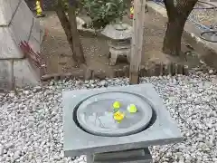 高円寺氷川神社の庭園