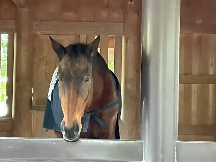 伊勢神宮内宮(皇大神宮)(三重県)