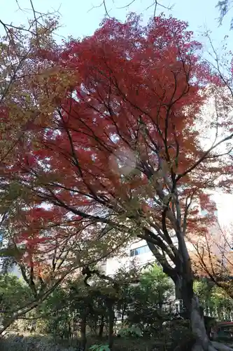 乃木神社(東京都)