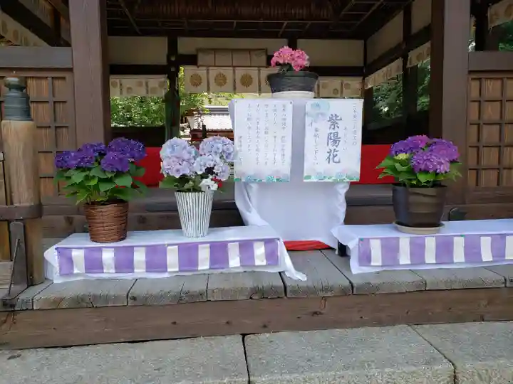 鞭崎神社(八幡宮)(滋賀県)