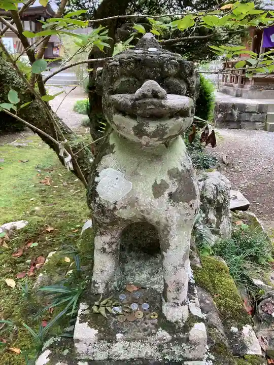 柳津虚空蔵尊 寳性院の狛犬