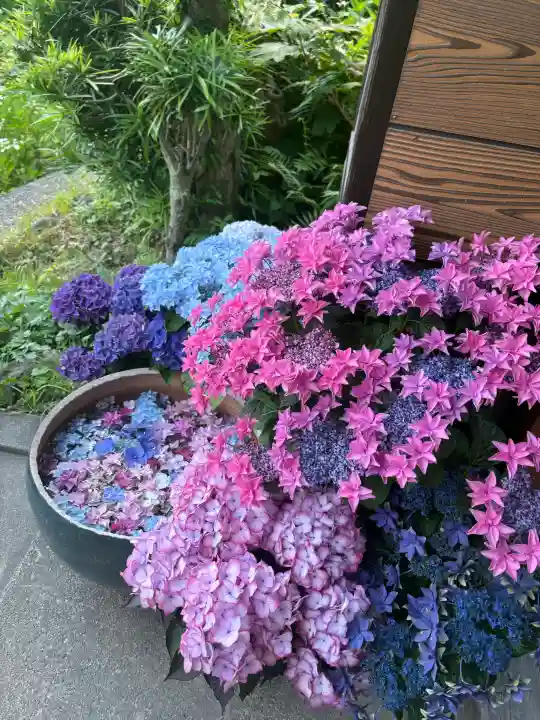 極楽寺(静岡県)