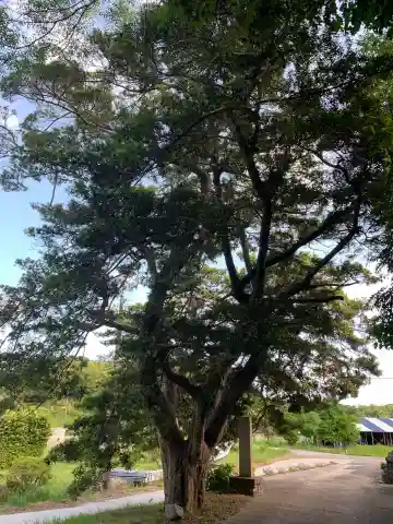 遍照院(千葉県)