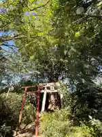 若宮八幡神社の鳥居
