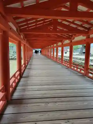 厳島神社(広島県)