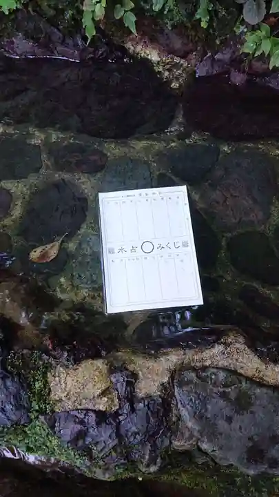 貴船神社のおみくじ