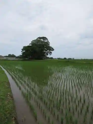 神明神社(千葉県)