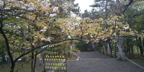 上川神社の自然