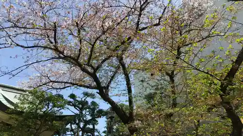 猿江神社の自然