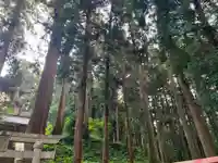 大宮温泉神社(栃木県)