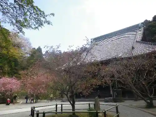 妙本寺の庭園