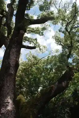 伊弉諾神宮(兵庫県)