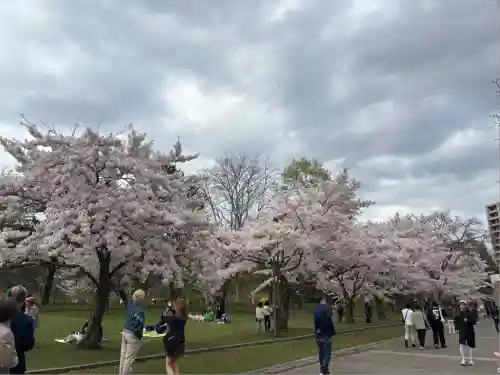 札幌護國神社の自然