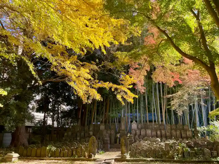 東漸寺(千葉県)