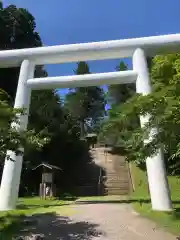 土津神社｜こどもと出世の神さまの鳥居