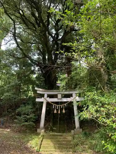 諏訪神社の鳥居