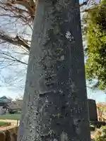 七右衛門新田稲荷神社(千葉県)