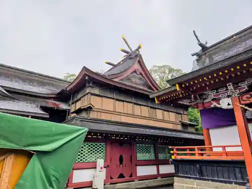 鹿児島神宮(鹿児島県)