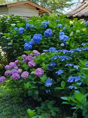 赤城神社(群馬県)
