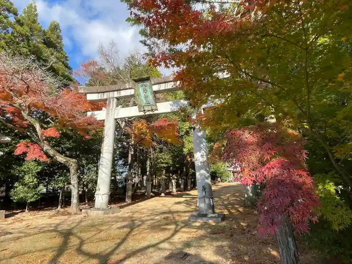 八幡神社(滋賀県)