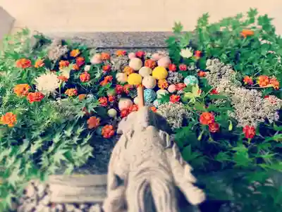滑川神社 - 仕事と子どもの守り神の手水舎