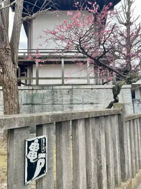 亀戸 香取神社の{uncategorized: "未分類", other: "その他", undefined: "問題あり", building: "その他建物", grave: "お墓", sacred_gate: "鳥居", guardian: "狛犬", statue: "像", buddha: "仏像", history: "歴史", nature: "自然", garden: "庭園", animal: "動物", pagoda: "塔", temizu: "手水舎", mountain_gate: "山門・神門", sanctuary: "本殿・本堂", subordinate: "末社・摂社", art: "芸術", scenery: "景色", jizo: "地蔵", ema: "絵馬", goshuin: "御朱印", omikuji: "おみくじ", items: "授与品その他", amulet: "お守り", goshuincho: "御朱印帳", eats: "食事", festival: "お祭り", votive_dance: "神楽", shichigosan: "七五三参", wedding: "結婚式", experience: "体験その他", initially: "初詣", around: "周辺", anti_infection: "感染症対策"}