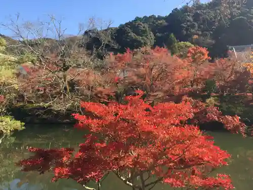 禅林寺（永観堂）の景色