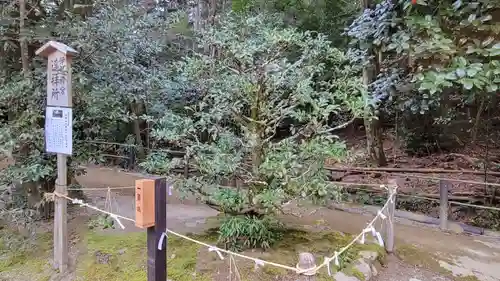 賀茂別雷神社（上賀茂神社）(京都府)