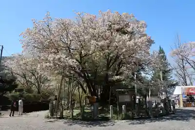 願成寺(岐阜県)