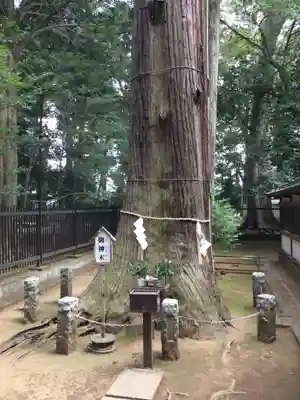一言主神社のその他建物