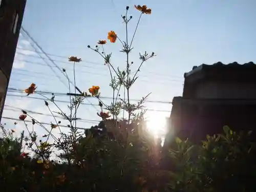 日枝神社の自然