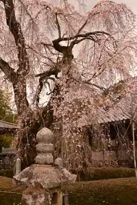 法蓮寺(愛媛県)