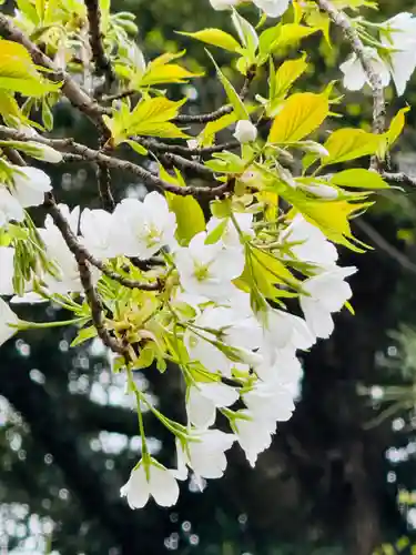 芳養八幡神社(和歌山県)