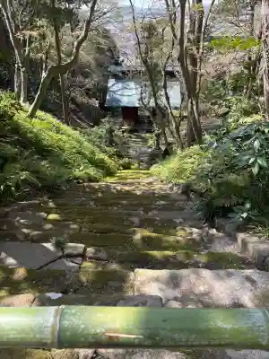 妙法寺の{uncategorized: "未分類", other: "その他", undefined: "問題あり", building: "その他建物", grave: "お墓", sacred_gate: "鳥居", guardian: "狛犬", statue: "像", buddha: "仏像", history: "歴史", nature: "自然", garden: "庭園", animal: "動物", pagoda: "塔", temizu: "手水舎", mountain_gate: "山門・神門", sanctuary: "本殿・本堂", subordinate: "末社・摂社", art: "芸術", scenery: "景色", jizo: "地蔵", ema: "絵馬", goshuin: "御朱印", omikuji: "おみくじ", items: "授与品その他", amulet: "お守り", goshuincho: "御朱印帳", eats: "食事", festival: "お祭り", votive_dance: "神楽", shichigosan: "七五三参", wedding: "結婚式", experience: "体験その他", initially: "初詣", around: "周辺", anti_infection: "感染症対策"}