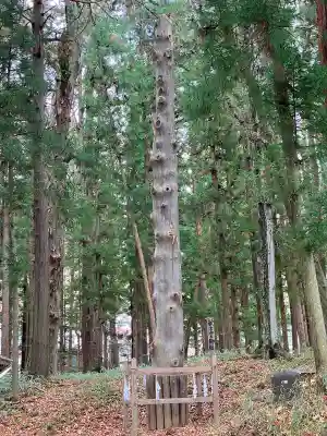 諏訪大社下社秋宮のその他建物