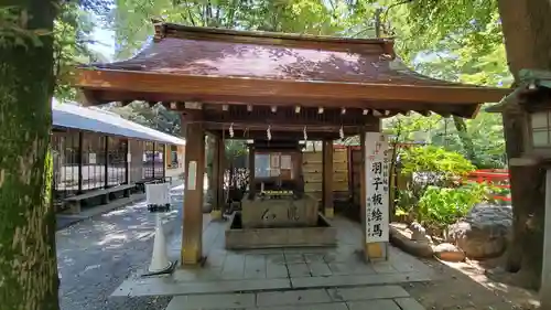 愛宕神社の手水舎