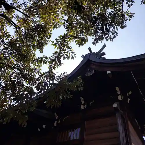 小村井 香取神社の本殿・本堂