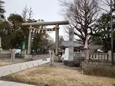 浅草神社の鳥居