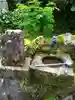 高龍神社 奥之院の手水舎
