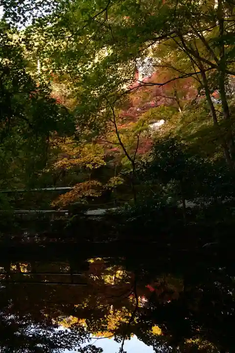 圓光寺(京都府)
