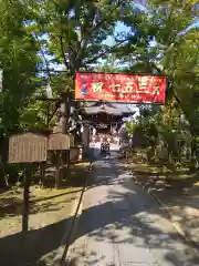 溝口神社(神奈川県)